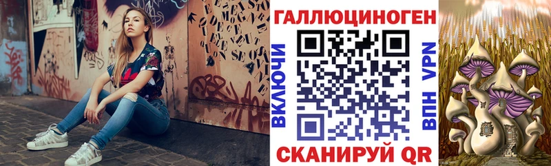Галлюциногенные грибы Psilocybine cubensis  где продают   Ижевск 